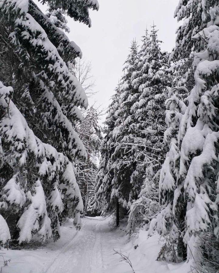 Dren - Banjska Stena Mitrovac Kültér fotó